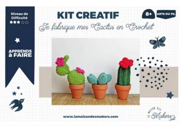 Kit DIY Cactus en Crochet